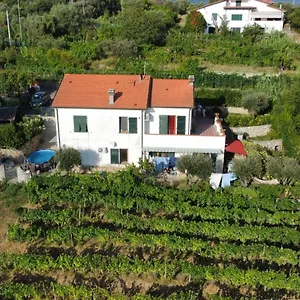 In Vino Veritas Olaszország